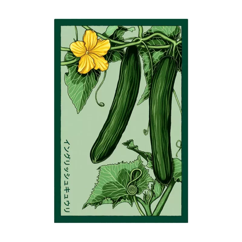 English Cucumber - Seeds,