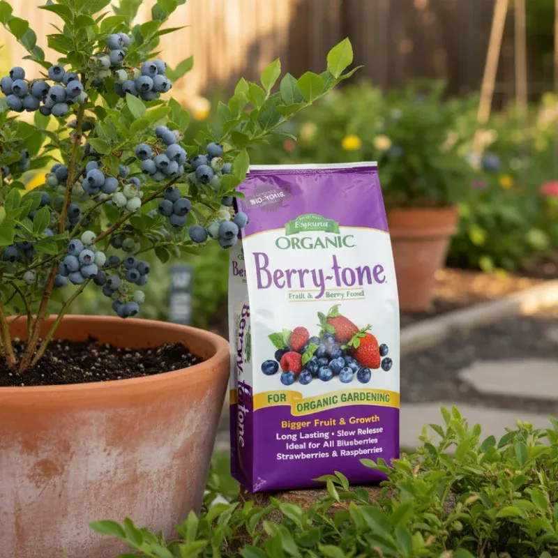 Espoma Organic Berry-Tone (4 lb)