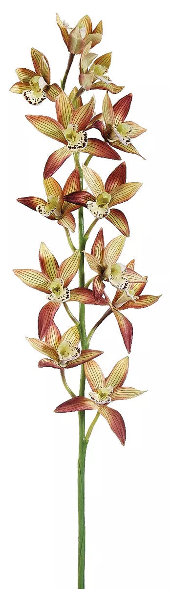 Faux Cymbidium Orchid Spray Rust Yellow - 38 inch