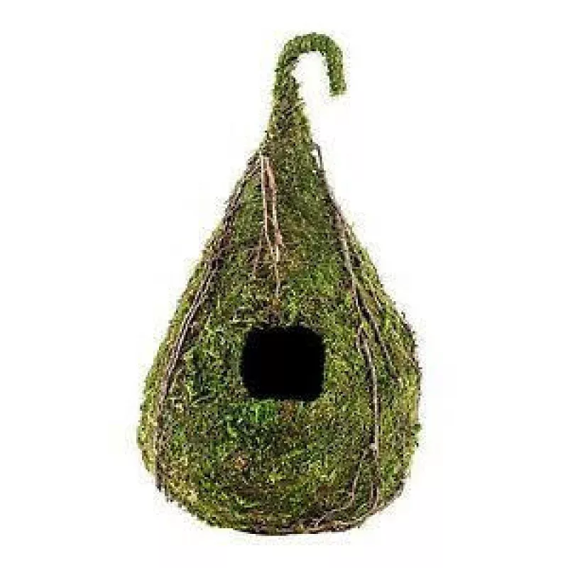 Galapagos Raindrop Hide