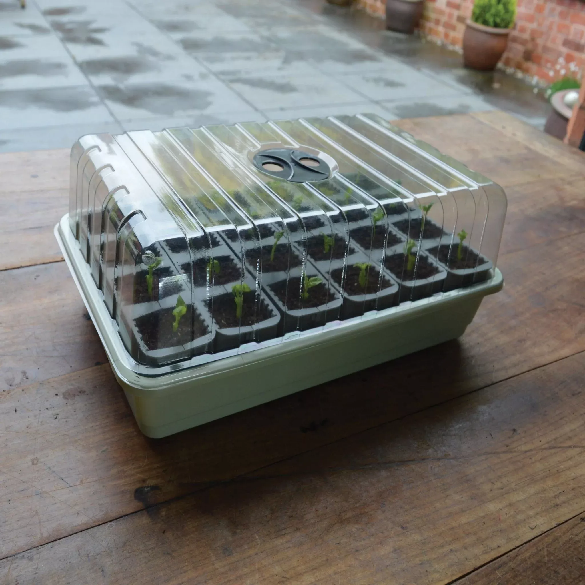 Garland 24 Cell Self Watering Fast Root Success Kit