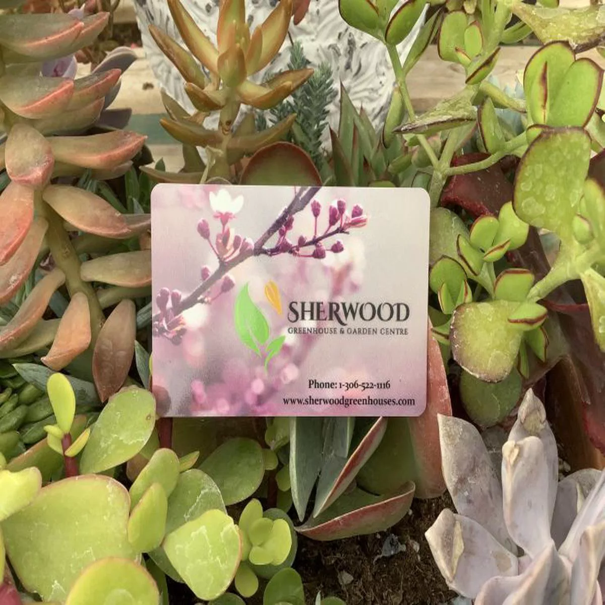 Gift Card 8211 200