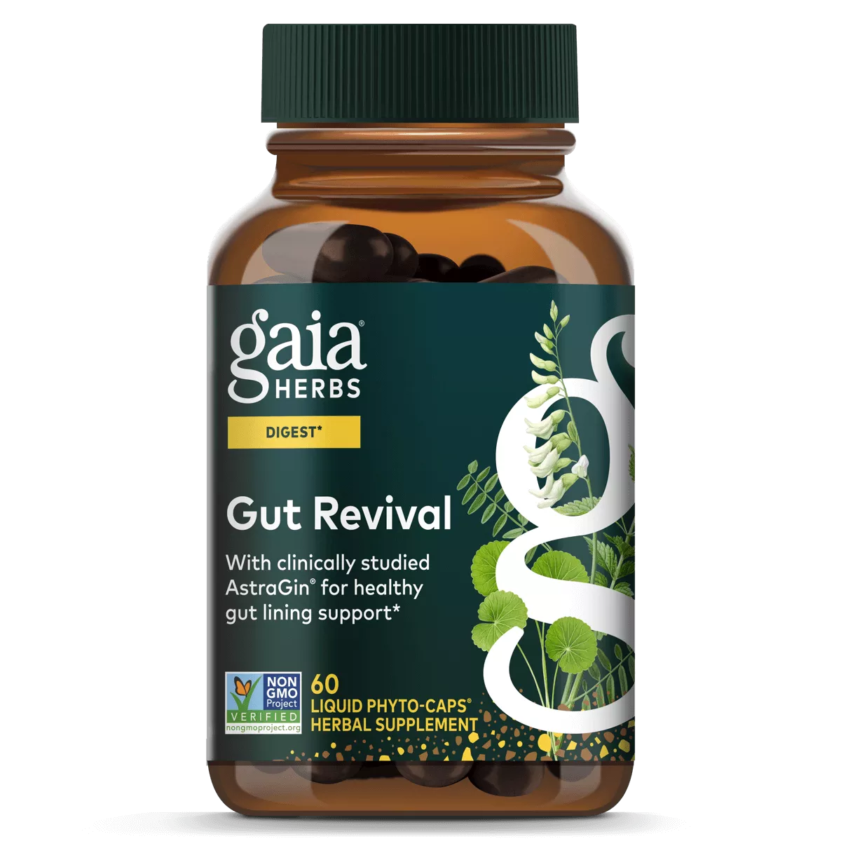 Gut Revival