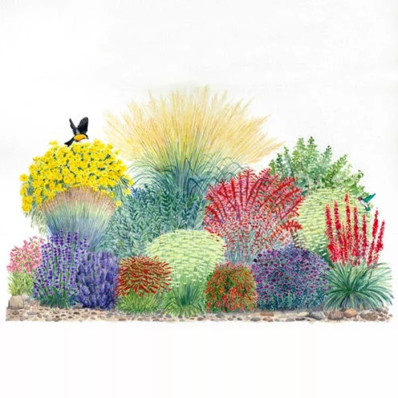 Habitat Hero Birdwatcher Pre-Planned Garden