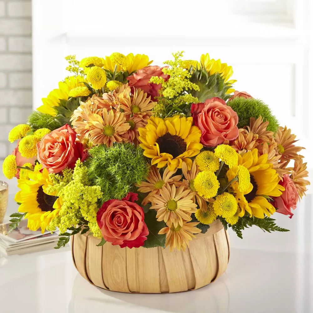 Harvest Sunflower