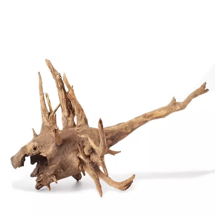 Hollow Tree Root 12"-16"