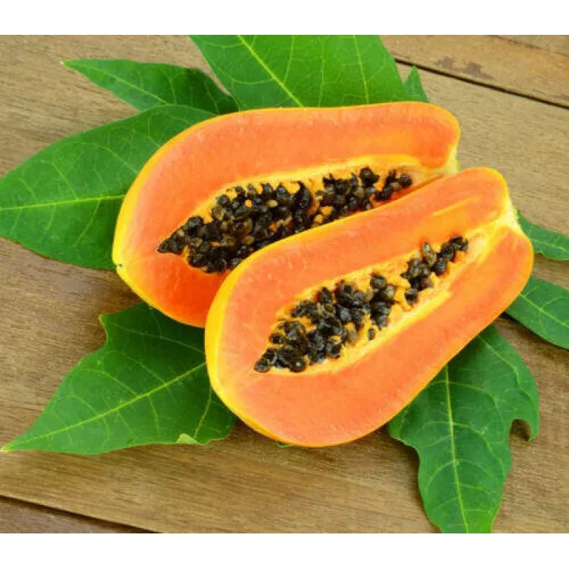 Honeydew Papaya / Pawpaw Fruit - Carica papaya