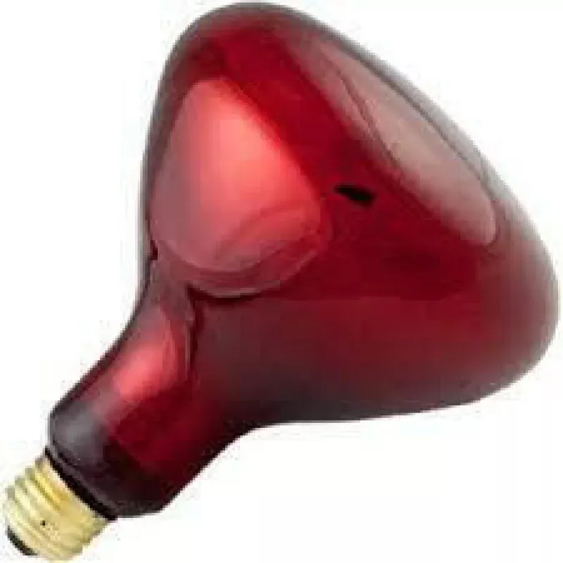 Infrared Heat Lamp 75 Watt
