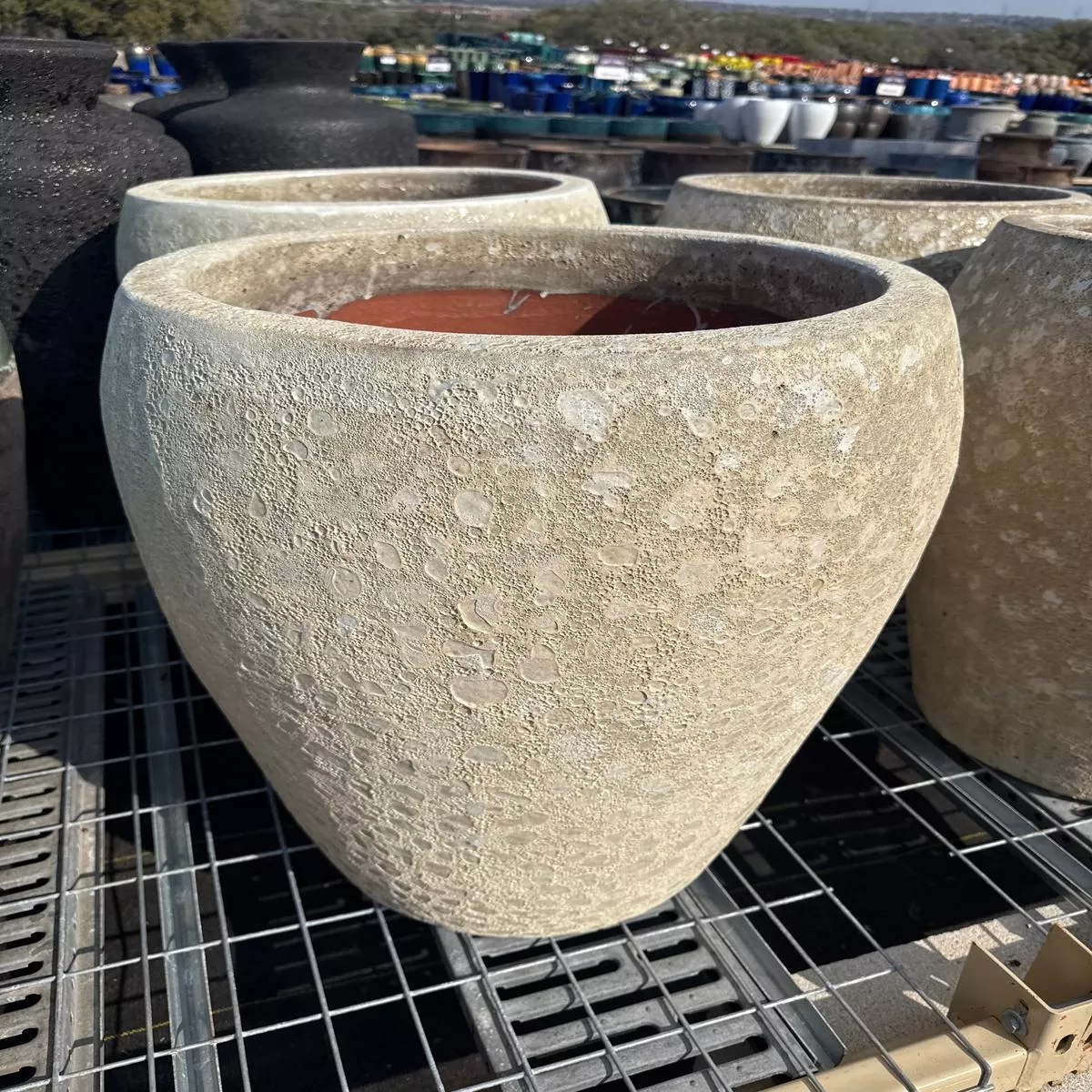 Irlanda Planter