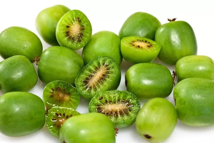 Issai Hardy Kiwi