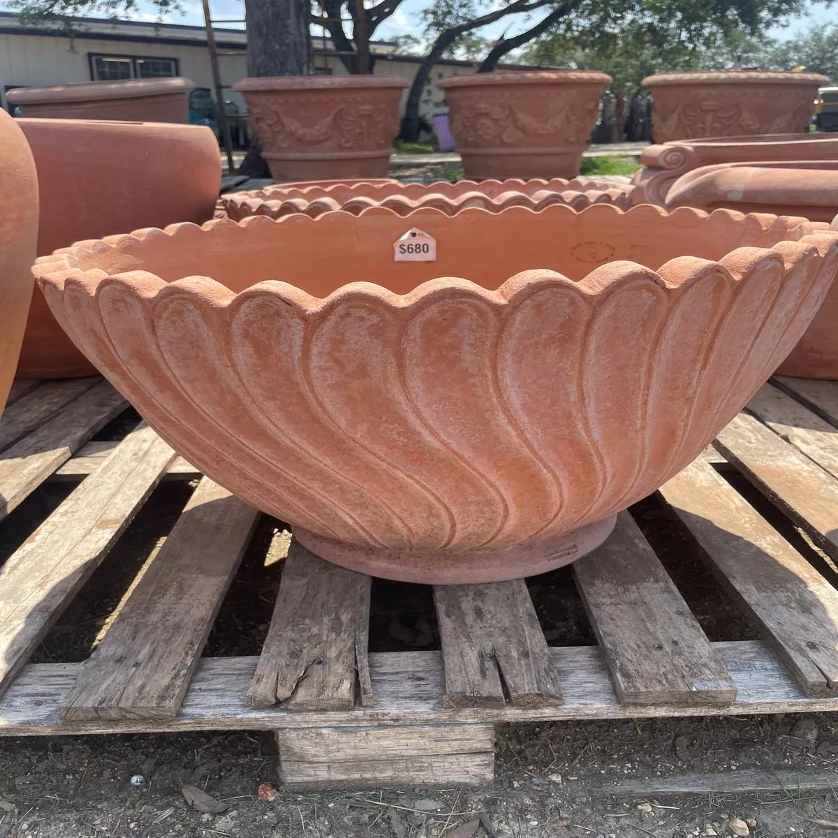 Italian Scalloped Vase 16″