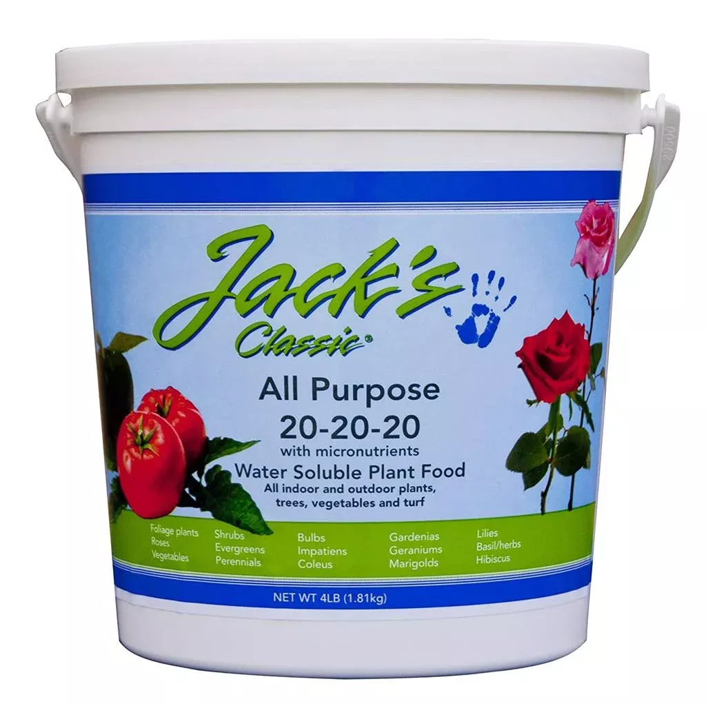 Jack’s Classic 20-20-20