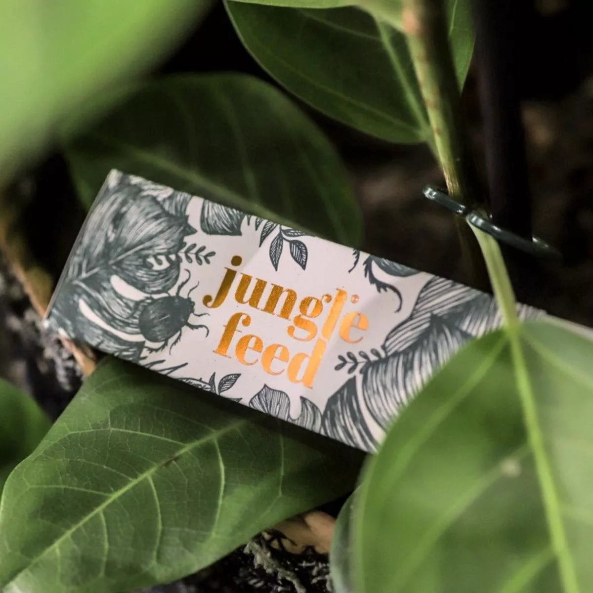 Jungle Feed – 100% Natural Organic Plant Food