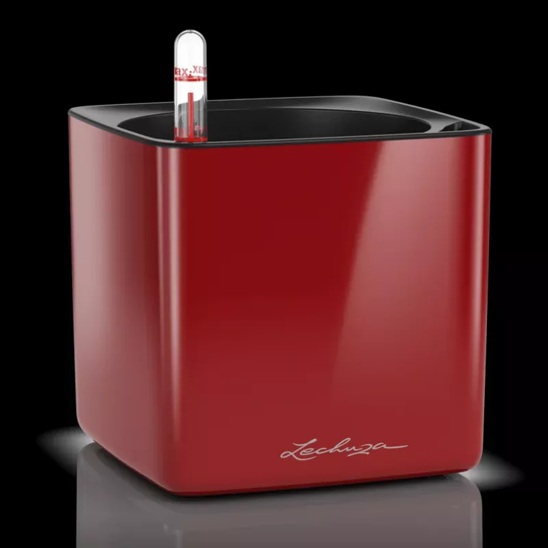 Lechuza Cube Glossy 16 Scarlet Red High Gloss Square Planter, 7"x7"