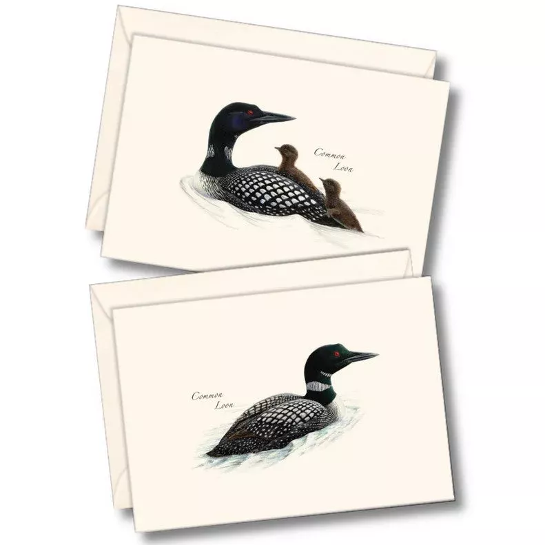 Loon Notecard Assortment