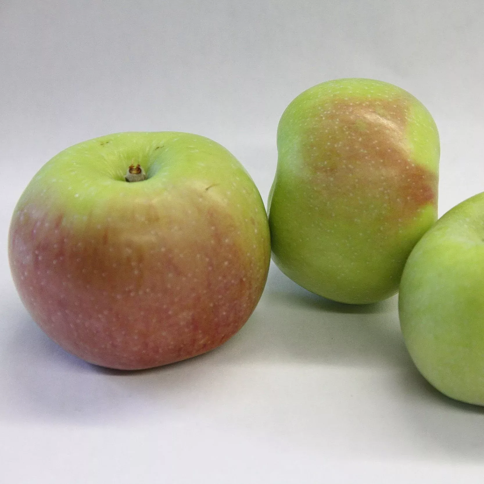 Milwaukee Apple