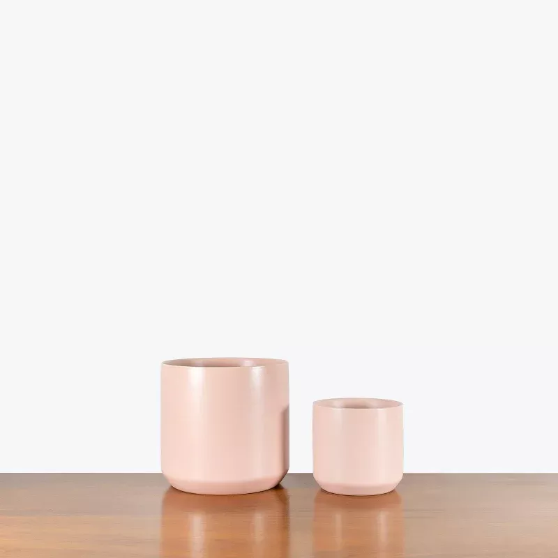 Modern Pink Ceramic Planter