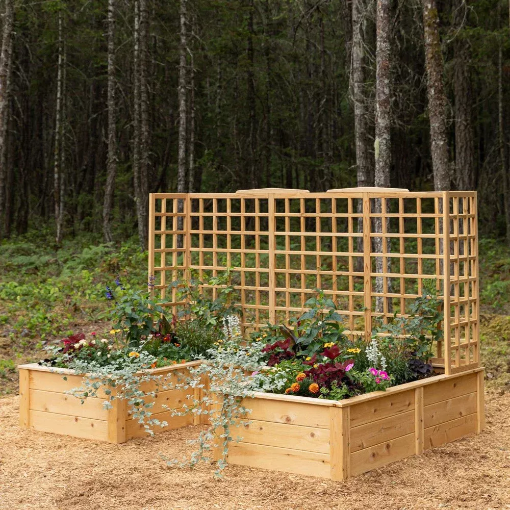 Natural Cedar 12′ U-Shaped Raised Beds with Trellis