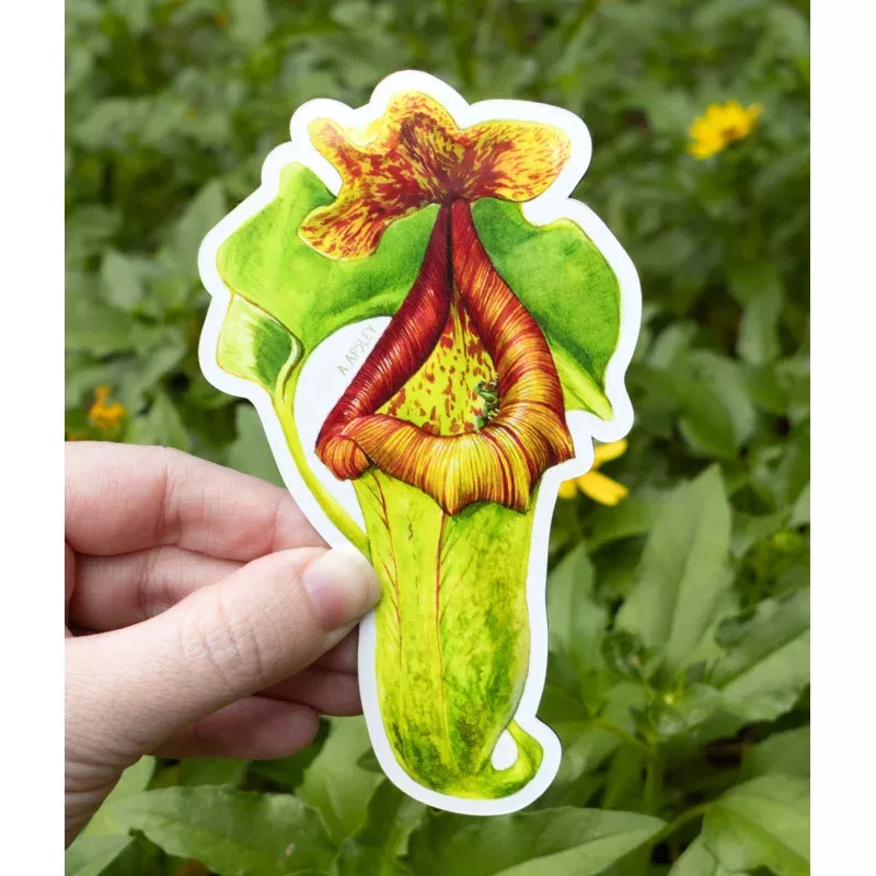Nepenthes Magnet