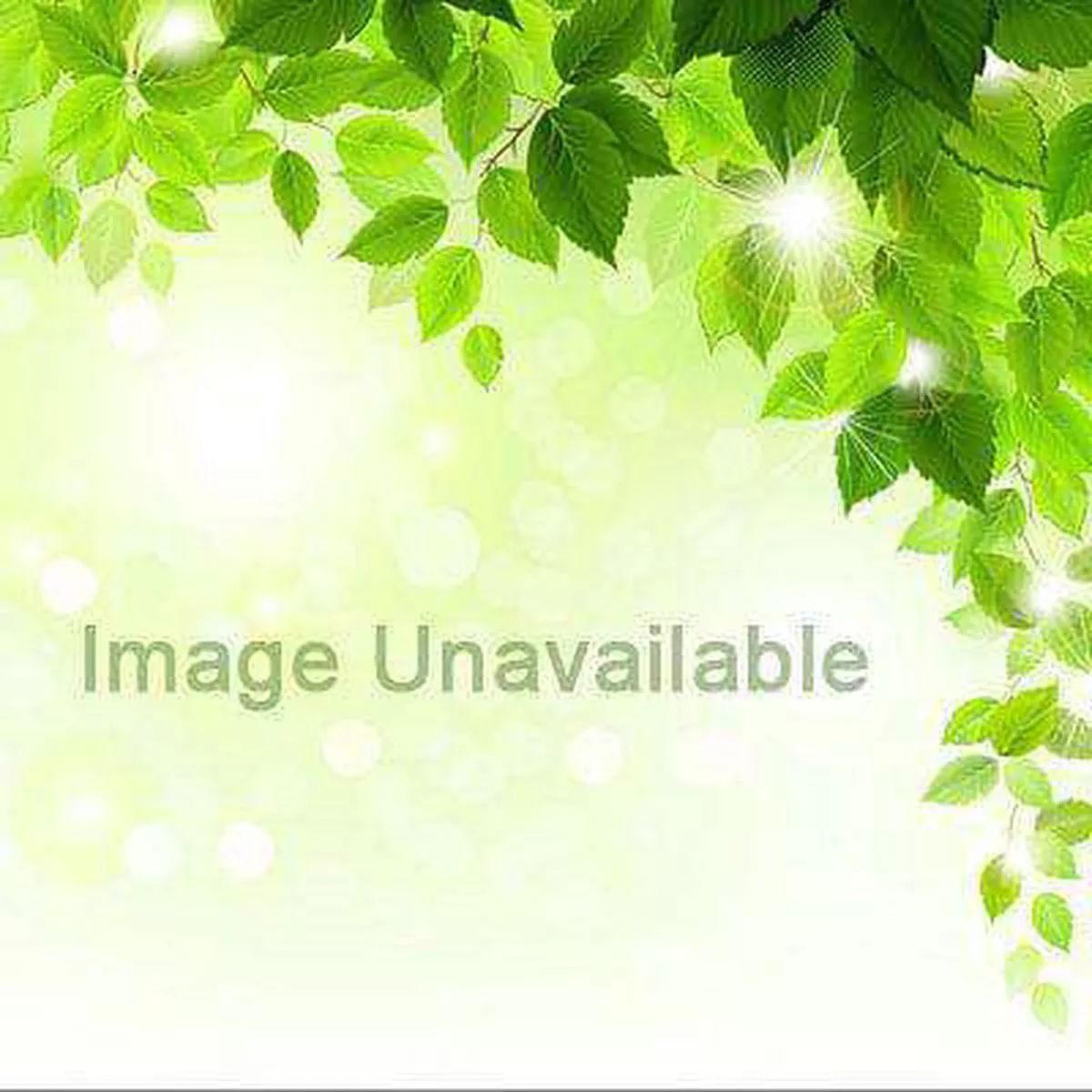 Nephrolepis exaltata bosteniensis compacta – Plant – Default Title