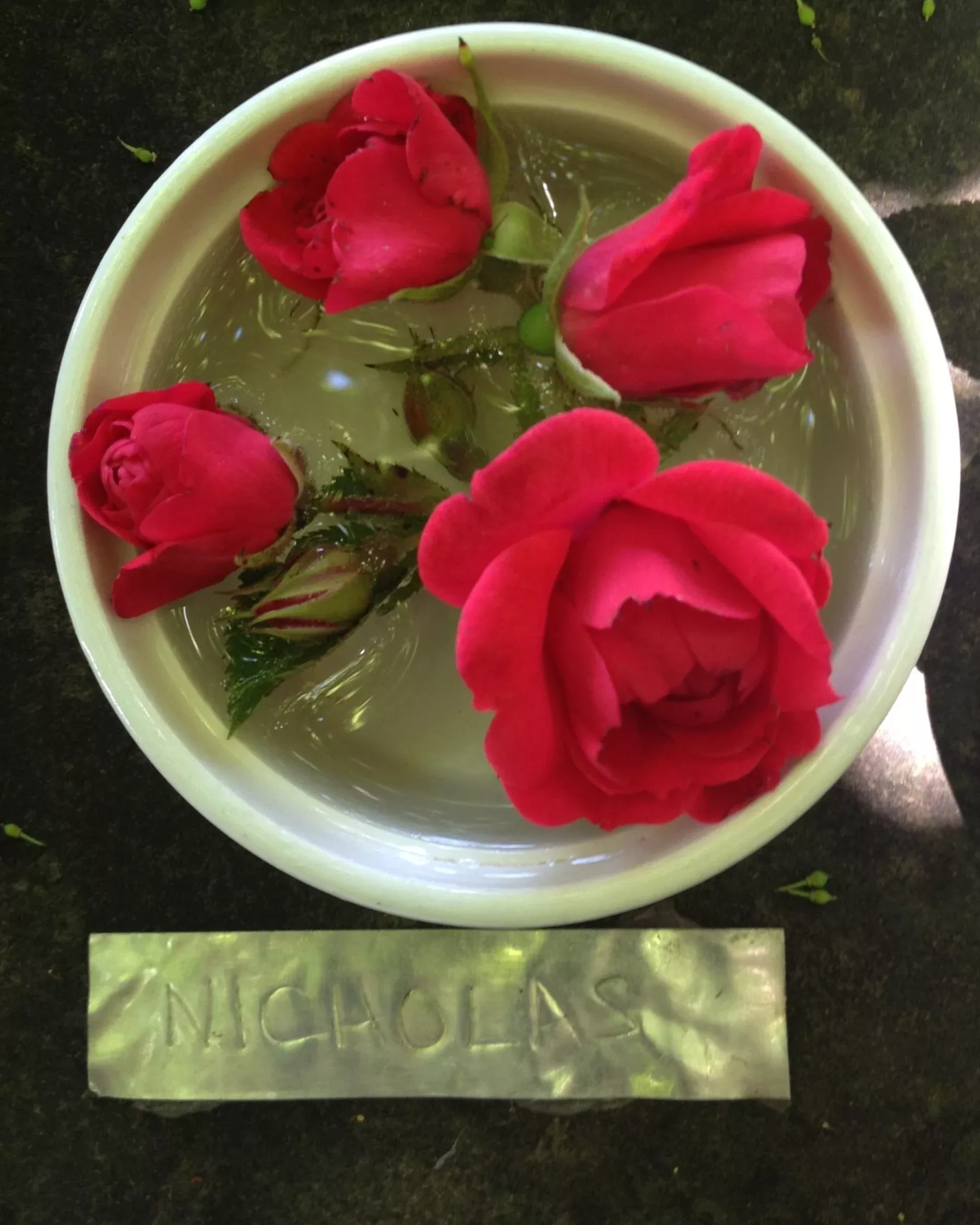 Nicolas Rose