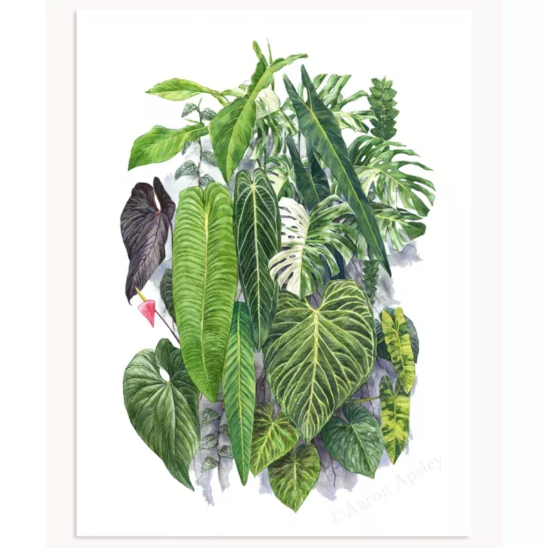 NSE Living Wall Print