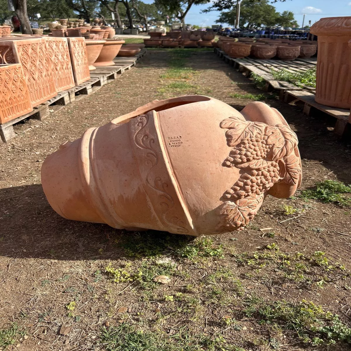 Orcio Con Uva