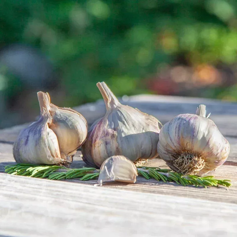 Organic Kingsland Garlic (lb)