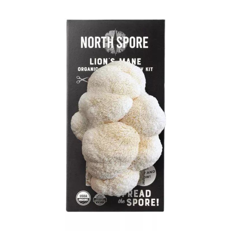 Organic Lion’s Mane ‘Spray & Grow’ Mushroom Growing Kit
