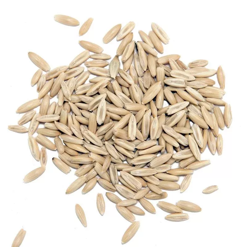 Organic White Oats Seed (lb)