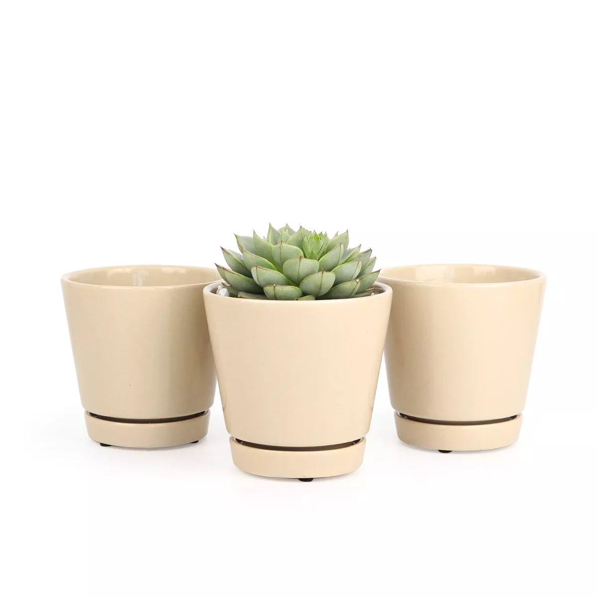 Pack of 3 Oatmeal Minimalist Ceramic Pots – 4 inch