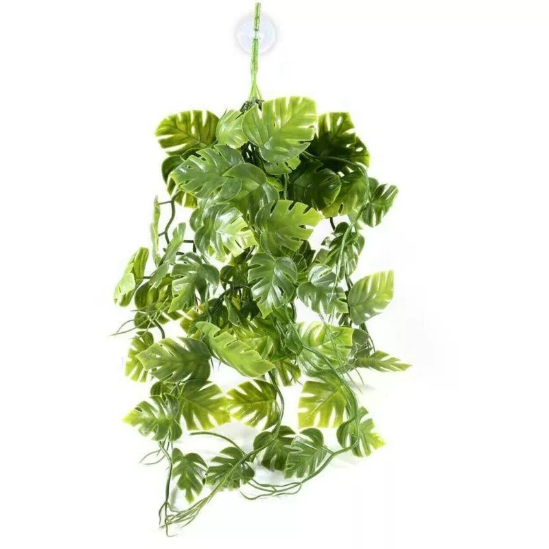 Pangea Green Plant