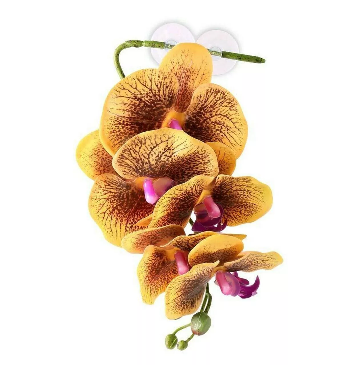 Pangea Hanging Yellow Orchid