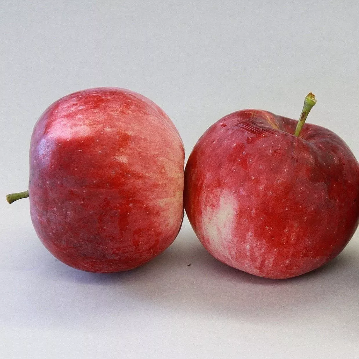 Paula Red Apple