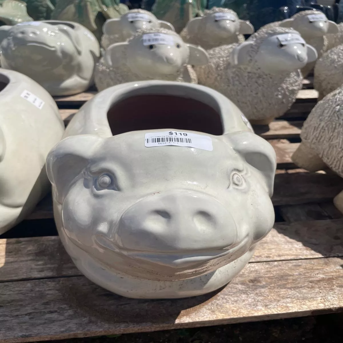 Pig Planter