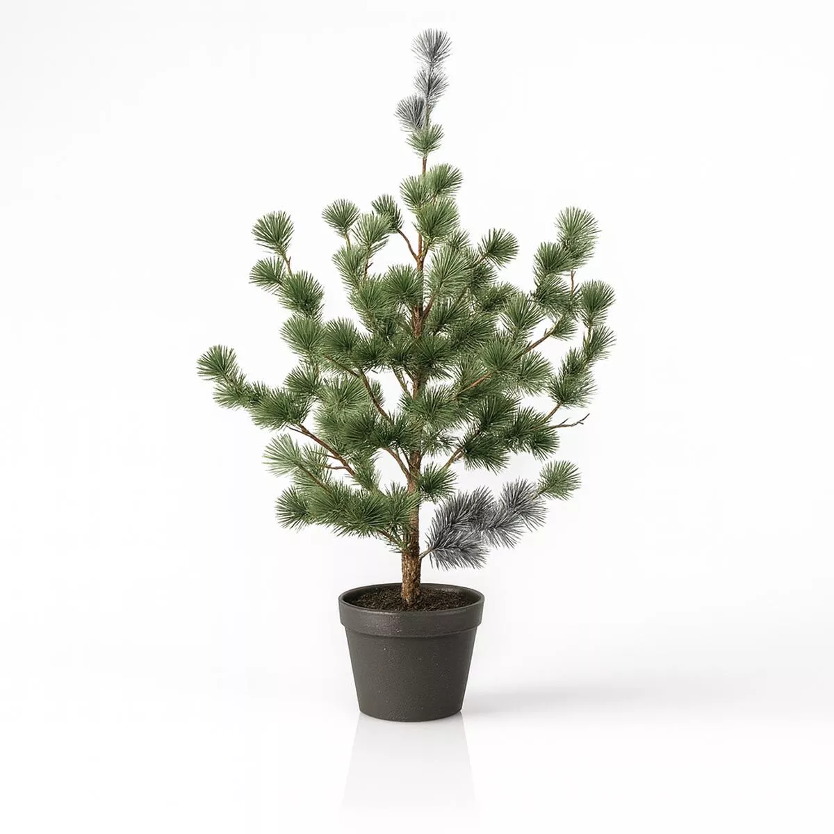 Pine tree (Cedar pine) 80, 120 & 150 cm – Artificial plant in pot