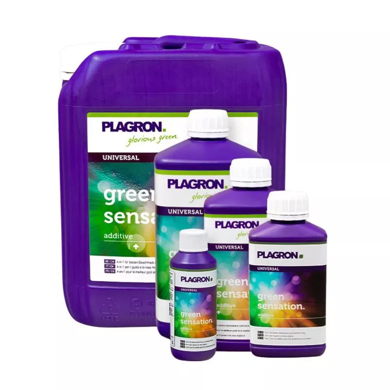 Plagron Hydro Roots