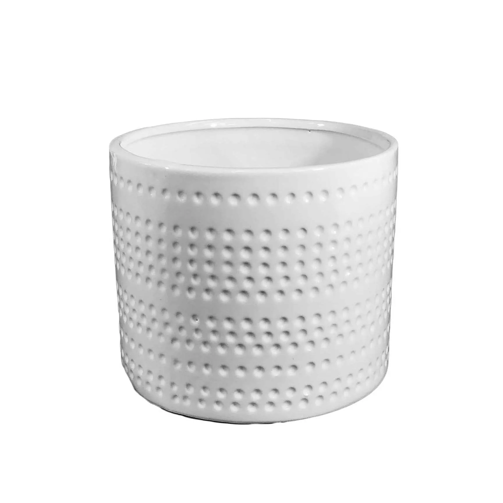 Pot, 6in, Ceramic, Dolomite, Dotted Stripes, White