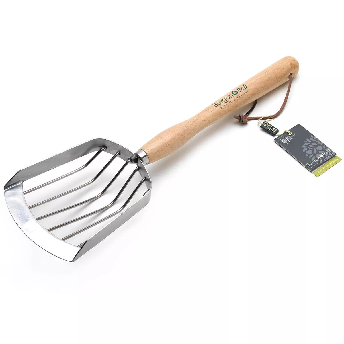 Potato Harvesting Scoop 8211 RHS Endorsed