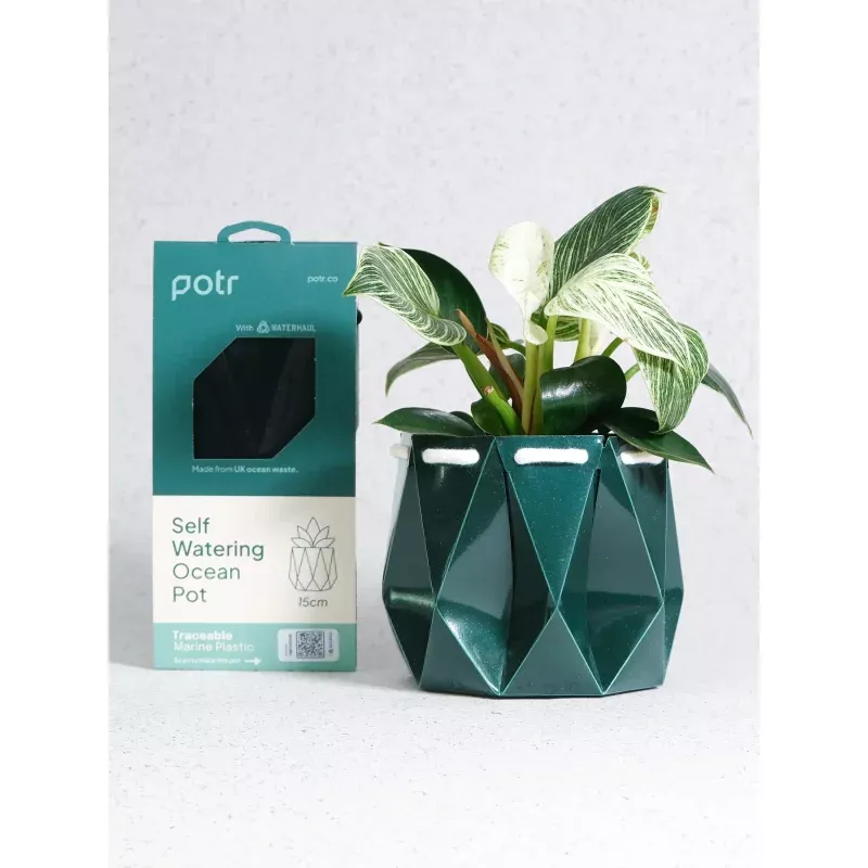 POTR Ocean Pot Deep Green