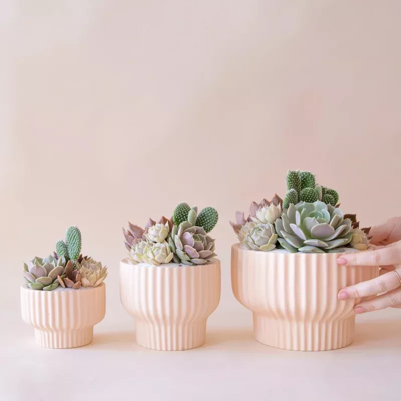 Presley Pedestal Planter | Ballerina