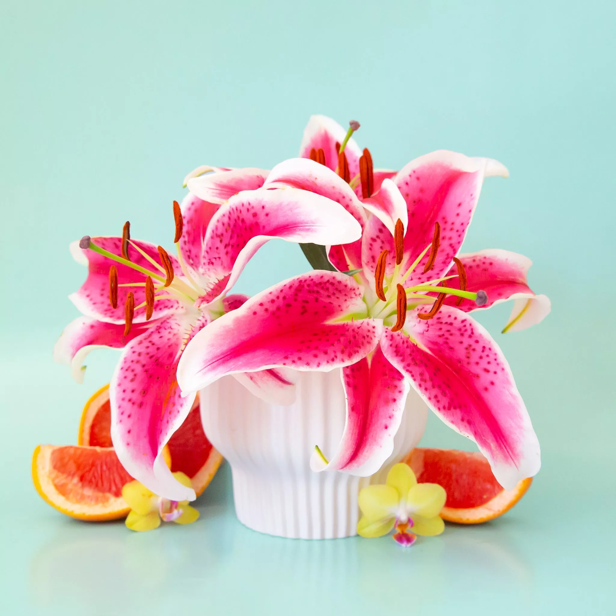 Presley Vase | White