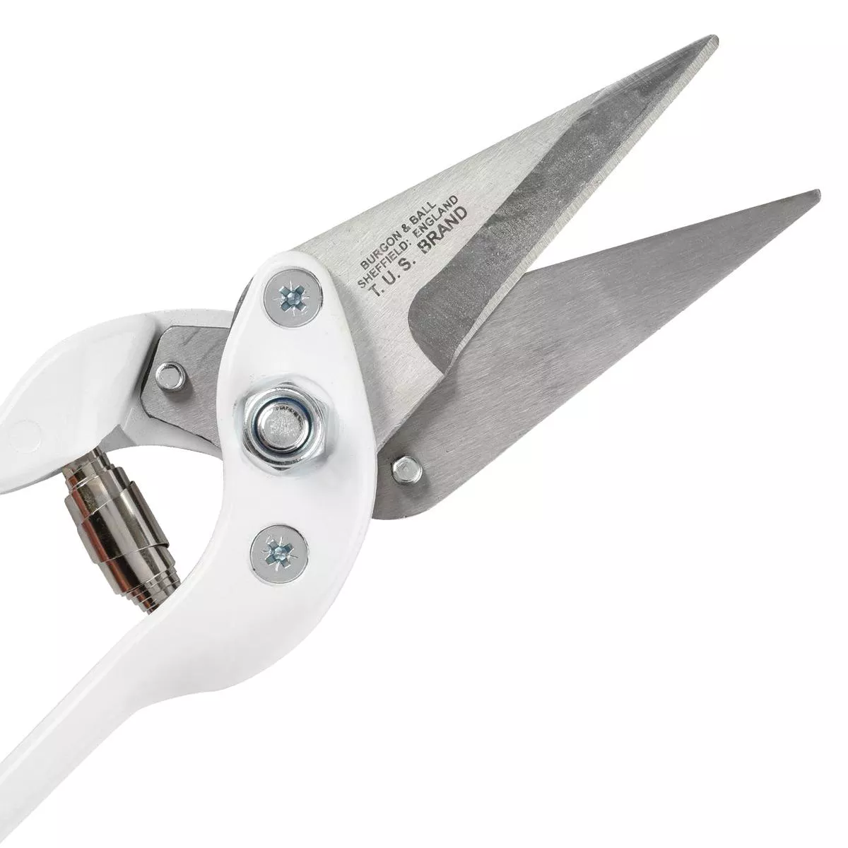 Professional Plain Footrot Shear 8211 Replacement Blades