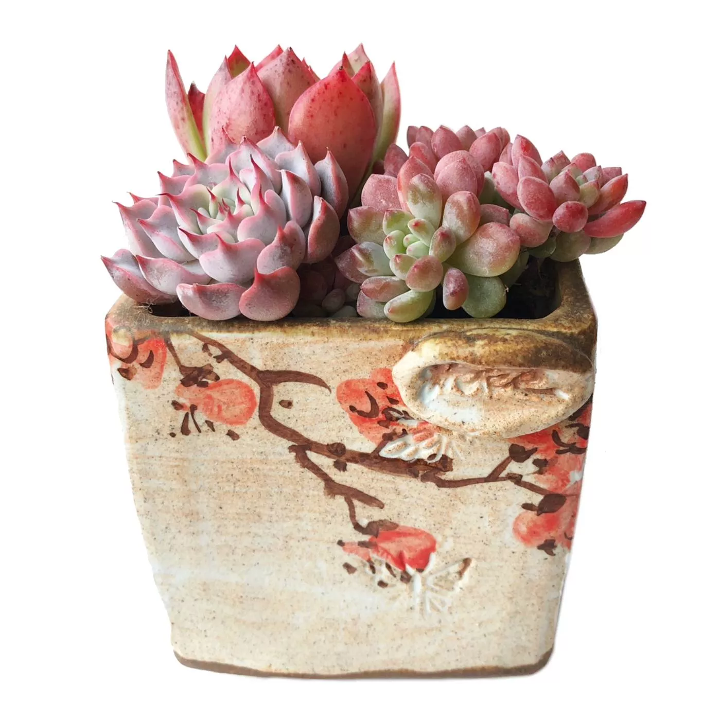 Rare Assortment with Handmade Korean Pot