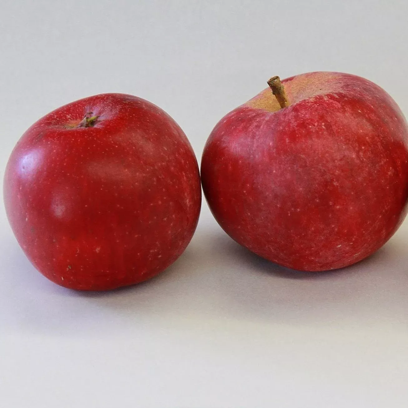 Red Astrachan Apple