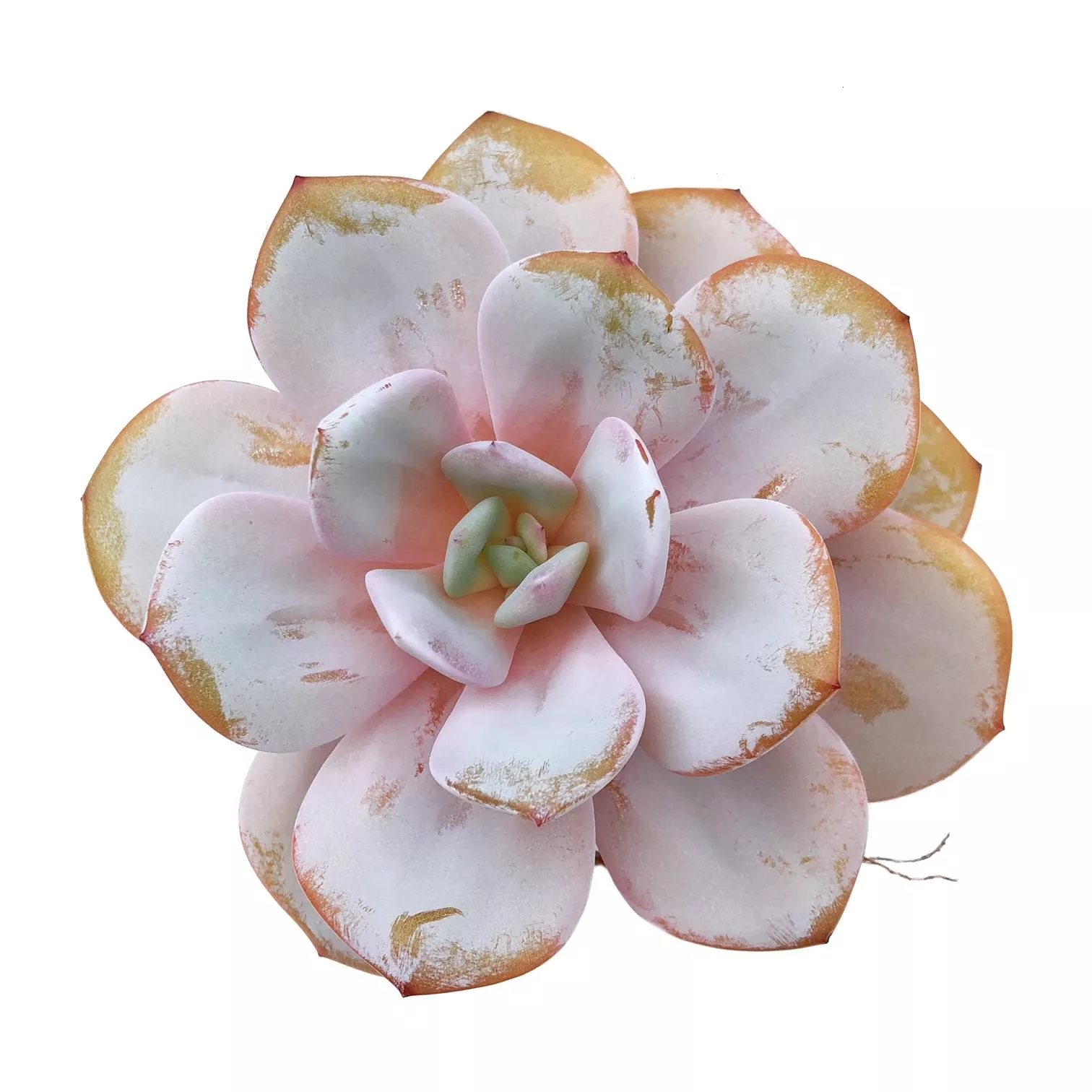 RESERVED E. Cream Tea, Not Symmetrical, (Ready to Ship)