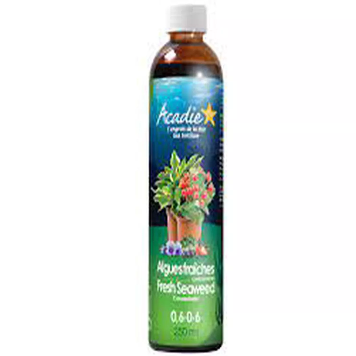 Seaweed Concentrate 8211 250mL