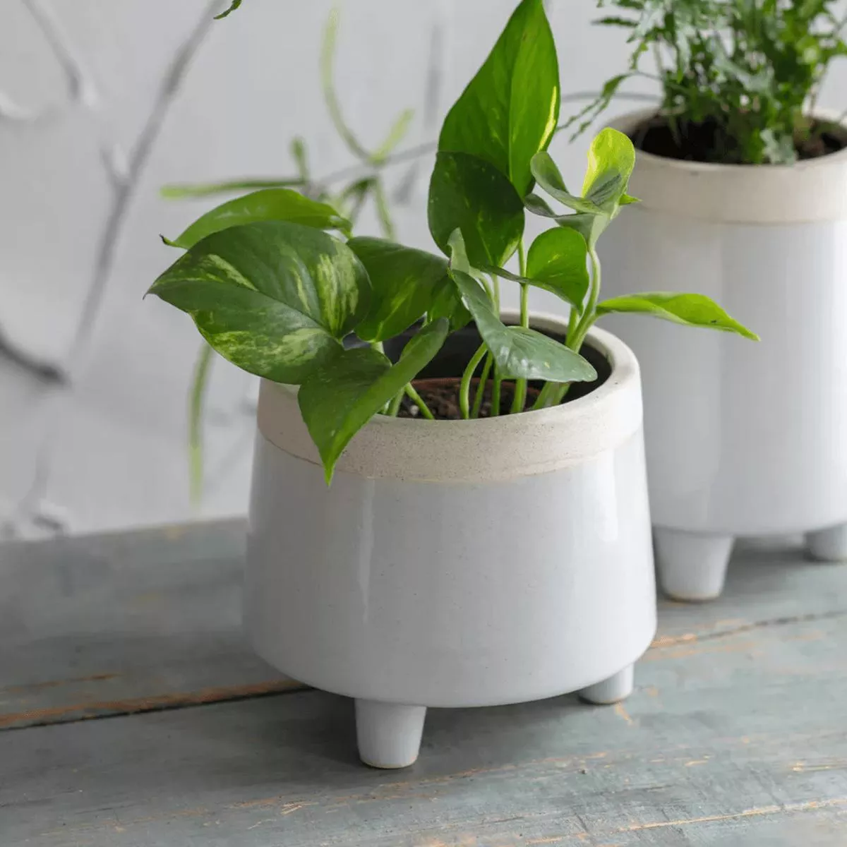 Sherston Pot