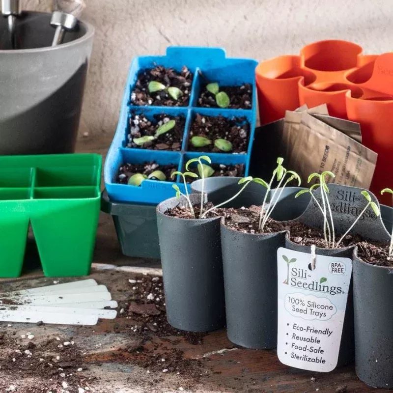 Sili-Seedlings 6-Cell & 10-Cell Seedling Trays