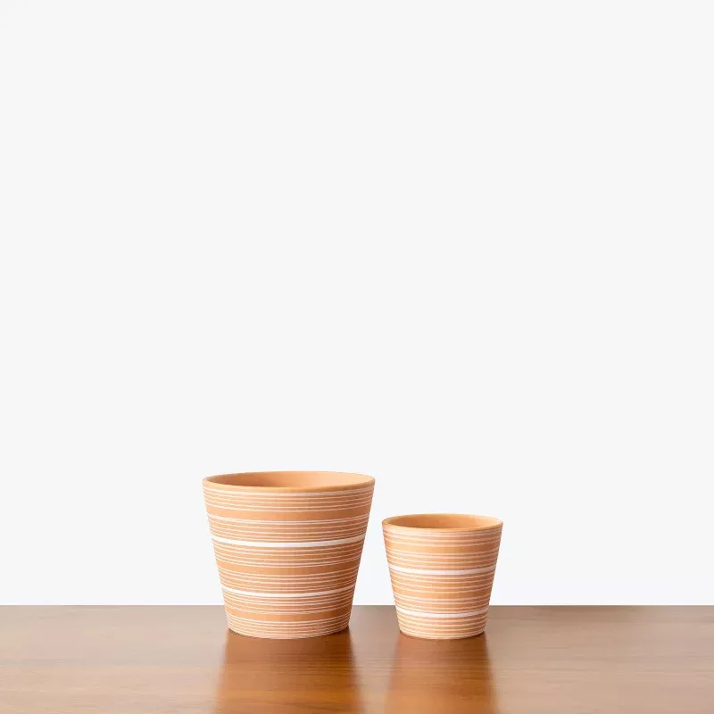Striped Clay Planter